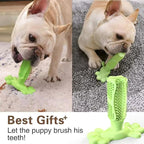 Chew Toy for Dog Toothbrush Stick Dog Toys for Aggressive Chewers Interactive Toys Treats Tough Toy to Keep Them Busy Chew for Small Dogs (Green, M)