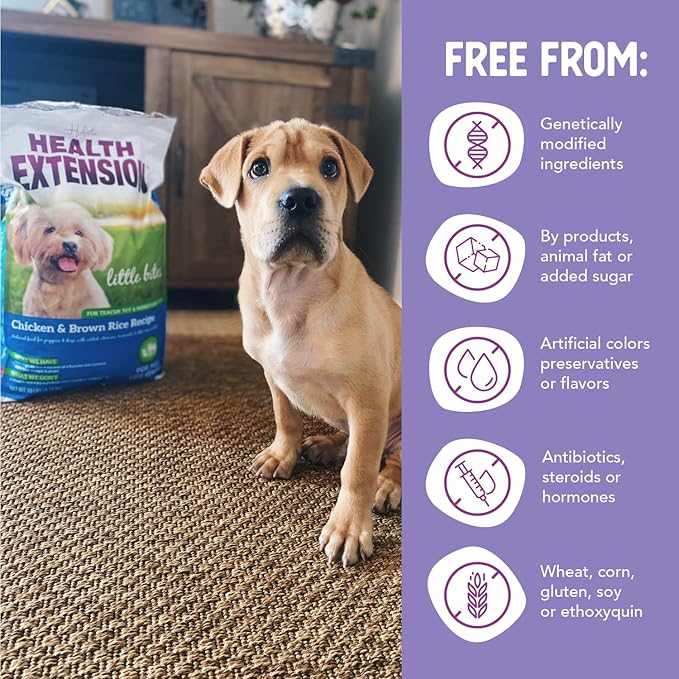 Health Extension Little Bites Dry Dog Food for Small Breeds, Chicken & Brown Rice Recipe, with Probiotics & Superfoods for Digestion & Coat Health, 1 lb Bag (Pack of 2)