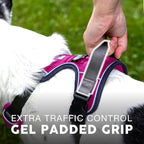 Embark Adventure Dog Harness, Reflective Trim XL Dog Harness for Extra Large Dogs No Pull - Military Grade Nylon, 2 Leash Clips & Gel Lined Handle.