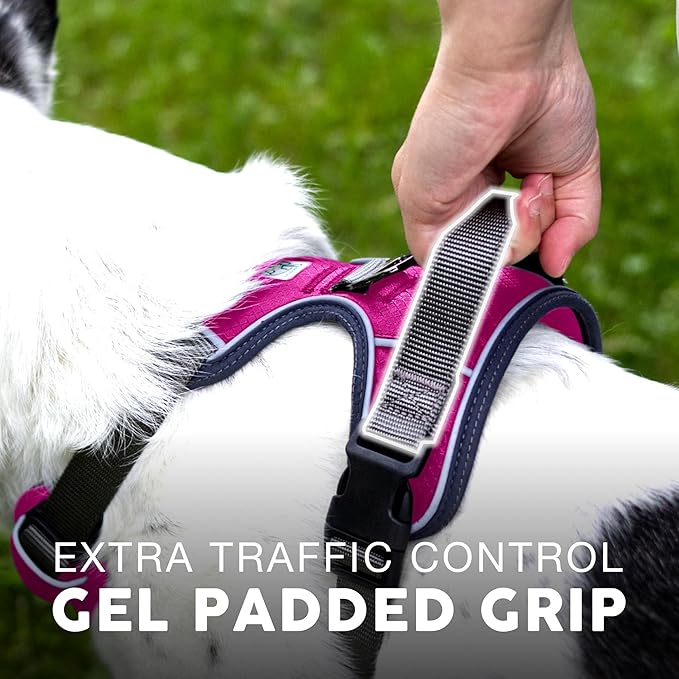 Embark Adventure Dog Harness, Reflective Trim No Pull Dog Harness Medium Sized Dogs - Military Grade Nylon, Front Clip with Gel Lined Handle.