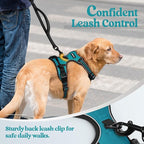 rabbitgoo Dog Harness No Pull with 2 Leash Clips, Adjustable Soft Padded, Reflective Oxford No Choke Pet Vest with Easy Control Handle for Large Dogs, Teal, XL