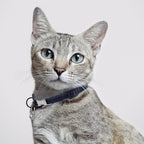 Leather Cat Collar with Buckle and Removable Bell - Non Breakaway Adjustable Soft Safety Small Pet Collars for Girl Boy Cats Kitten (Navy Blue)