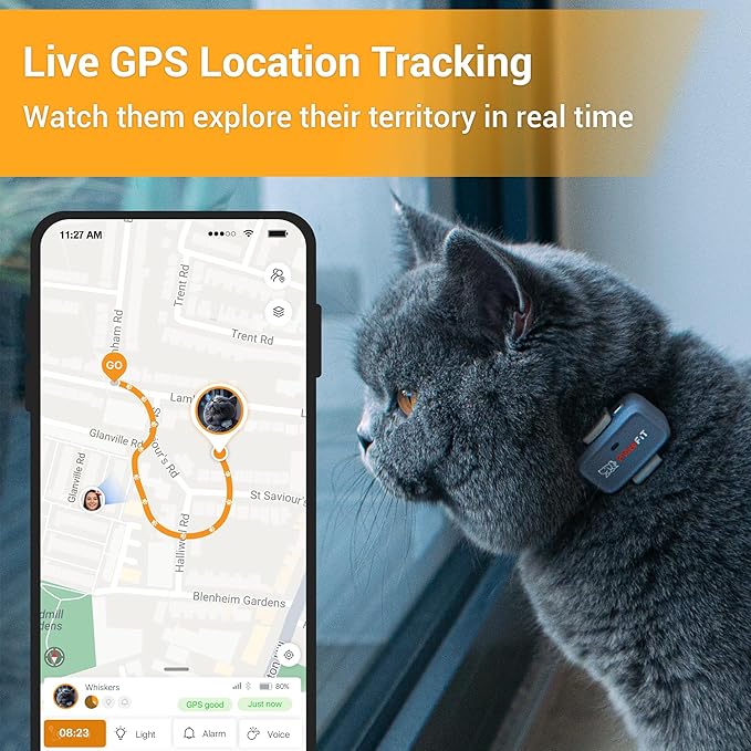 Lite for Cats 4g GPS Tracker | Real Time Tracking | Activity Monitoring |Location History | Unlimited Range | Safety Collar Included | Simply White