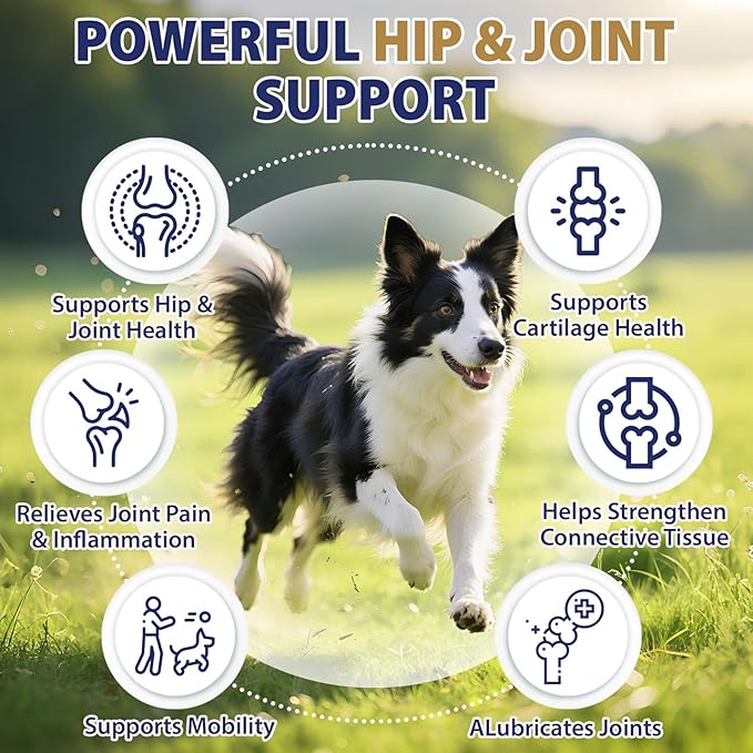Hip and Joint Supplement for Dogs 200 Hemp Dog Calming Chews with Glucosamine, Chondroitin, Msm, Omega 3, Melatonin for Senior Dogs Anxiety, Dog Pain Relief Anti Inflammatory Small/Medium/Large Breed