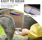 PUPTECK Soft Mesh Cat Vest Harness and Leash Set Puppy Padded Pet Harnesses Escape Proof for Cats Small Dogs Rabbits Bunny, Tactical Yellow, L