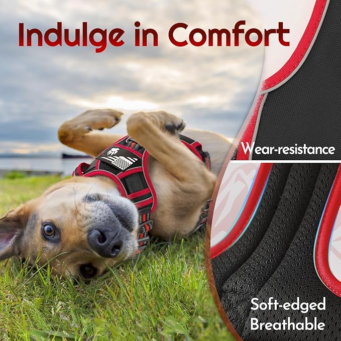 Eagloo Dog Harness Medium Sized, Easy Wearing with 3 Buckles, Adjustable No Pull Pet Harness with 2 Rings for Walking, No Chock Reflective Soft Padded Vest with Control Handle, Black & Red, M