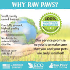 Raw Paws Grooming Brush, 1 ct - Hand-Held Rubber Tipped Pin Brush for Dogs & Cats - Deshedding Dogs with Short Hair & Long Hair - Dog Grooming