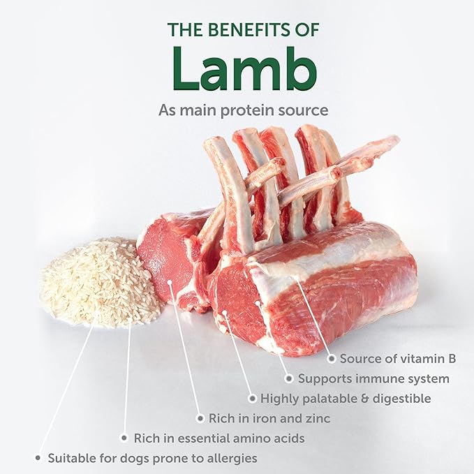 Nature's Protection Dry Dog Food for Small Breed - High Protein Tear Stain Diet for White & Light Fur Adult Dogs - Small Bites Kibble (Superior Care - Lamb and Rice, 3.3 lb)