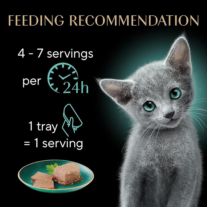 Sheba Perfect Portions Kitten Wet Cat Food Pate Chicken Entree and Salmon Entree, 2.6 oz. Twin-Pack Trays (12 Count, 24 Servings) (Pack of 2)