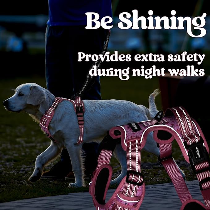 rabbitgoo Dog Harness Small Sized, No Pull Pet Harness with 3 Buckles, Adjustable Soft Padded Vest with Control Handle, Walking Reflective Pet Vest for Small Dogs, Floral Pink, S