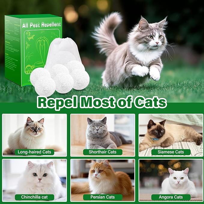 Cat Repellent Outdoor Indoor, 24 Pcs Peppermint Oil Natural Cat Deterrent Balls Preventing Cats Away from Indoor Furniture Scratch, Keep Cats Out of Yard Lawn Garden