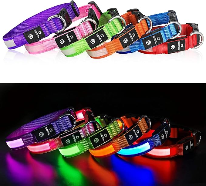 MASBRILL Light Up Dog Collar - LED, Rechargeable, Waterproof Glow Collar for Night Walking with Small, Medium, Large Dogs