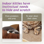 Hideaway Cat Scratcher Box for Indoor Cats - Cat Scratching Board, Horizontal Cat Scratch Pad Lounger with Reversible Usability and Extra Comfort for Lounge(Dark Cherry)