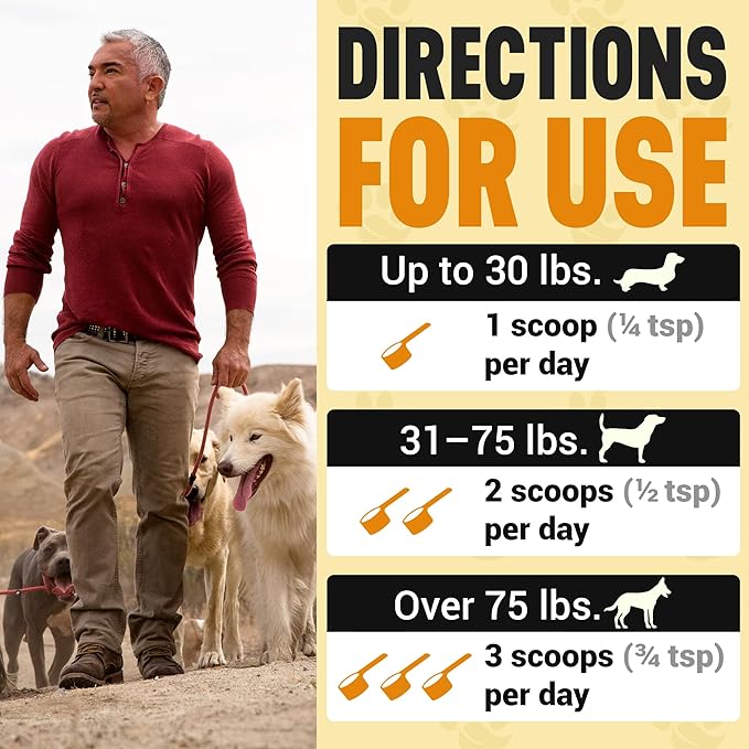 Better Dog Supplements Calm Confidence by Cesar Millan – Natural Cognitive & Brain Support for Dogs – Focus, Energy & Vitality with Ashwagandha, Panax Ginseng & Herbs – 4oz, (60-Day Supply)