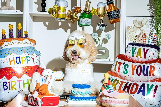 Birthday Bone Interactive Dog Toy - Interactive Tug Rope Pet Toy - Cute Unique Design Party Birthday Gift - Small Medium Puppy - Durable Chew Resistant Plush Toy with Squeaker for Teething (White)