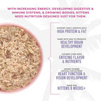 Tiki Cat Baby, Chicken & Egg, High-Protein and 100% Non-GMO Ingredients, Wet Cat Food for Kittens 8 Weeks+, 2.4 oz. Cans (Pack of 12)