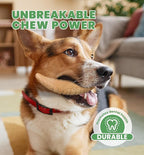 Durable Dog Chew Toy for Aggressive Chewers, Ultra Tough Dental Toy for Teeth Cleaning, Boredom Anxiety Relief, Long-Lasting Toy for All Dog Sizes & Teething Puppies, Keep Them Busy