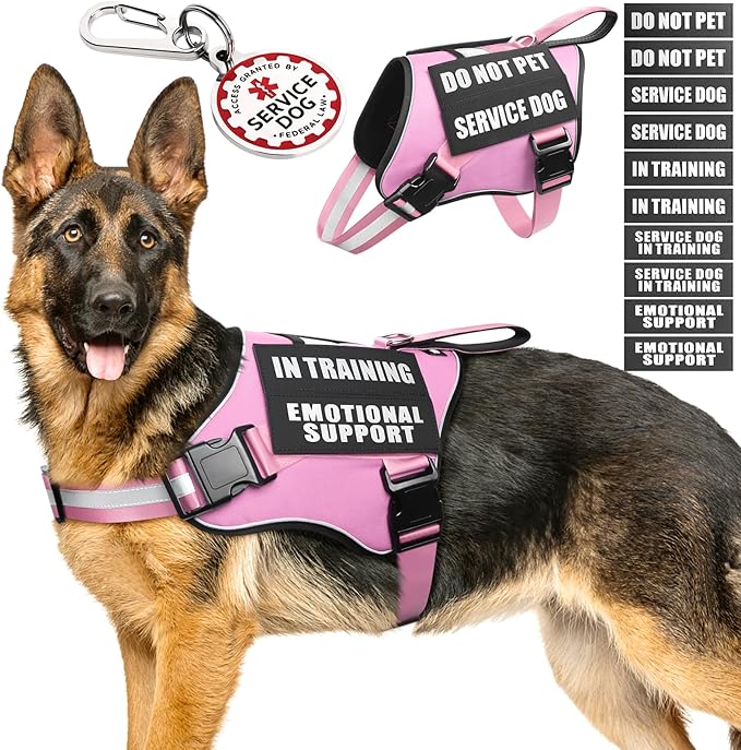 Service Dog Vest Harness+ID Tag+10 Patches,Metal Serivce Dog Tag&Reflective Emotional Support Dog Vest with Handle for Large Dogs,Easy Put On/Off for Training/Walking/Everyday Pink XL