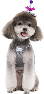 Puppytie No Pull Small Dog Harness with Multifunction Dog Leash,Lightweight Soft Adjustable No Choke Escape Proof Pet Harness Vest Pet Harness Vest,Glossy Grey,S