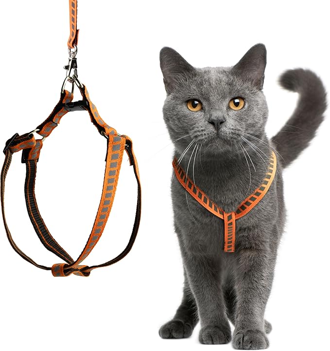 Filbert Cat Harness and Leash Set with Reflective Strip, Thin Cat Harness Escape Proof with Leash, Step-in, Adjustable, Indoor Outdoor, Easy-to-Put-On