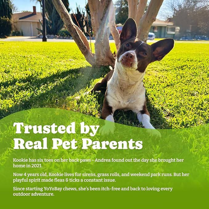 Flea & Tick Prevention for Dogs Chewables, YoYoBay Natural Dog Fleas and Ticks Control Supplement, Dogs Supplement, Natural Shield 5-in-1 Protection, Bacon & Sweet Potato Flavor, 180 Soft Chews