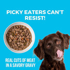 KOHA Greek Island Grill Stew for Dogs with Chicken and Lamb, High Protein Wet Dog Food, 12.7oz Cans (Case of 12)