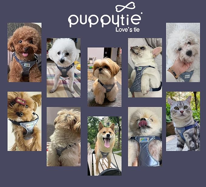 Puppytie No Pull Small Dog Harness with Multifunction Dog Leash,Lightweight Soft Adjustable No Choke Escape Proof Pet Harness Vest Pet Harness Vest,Glossy Galaxy Blue,S