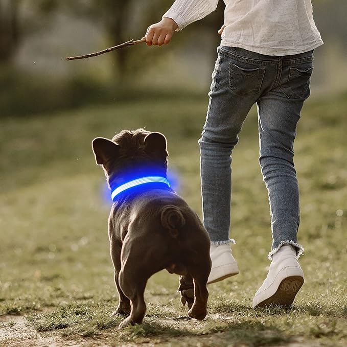 YFbrite Full Adjustbale LED Dog Collar, Full Illuminated Light up Dog Collars, Reflective Dog Collar Light Glowing in The Dark for All Dogs Safety (Large, Blue-2)