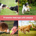 Dog Rope Toy for Medium and Small Dogs Interactive Puppy Toys Tug of War Rope Tether Tug Outdoor Dog Toy 1 Knot Puppy Teething Chew Cotton with Tennis Ball