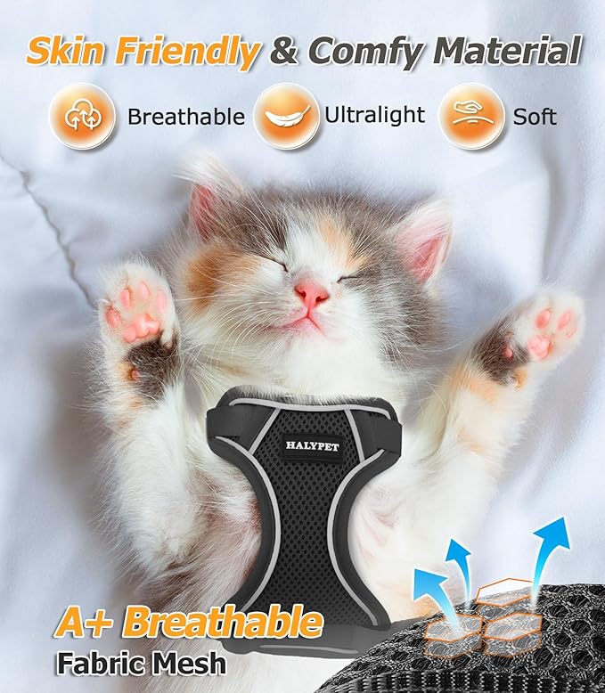 Halypet Cat Harness and Leash Set [MAX Safety 4th-Gen Upgrade] Escape Proof Adjustable Cat Leash Comfortable Soft Vest Easy to Wear Kitten Harness with Reflective Strip for Cats Walking, XS Black