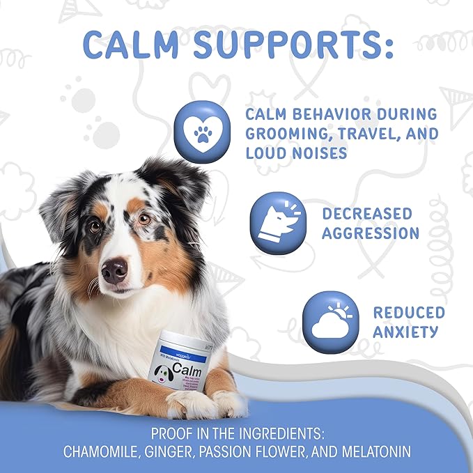 waggedy Calm with Melatonin - Calming Chews for Dogs to Manage Stress & Anxiety Relief — Pet Calming Treats for Travel, Fireworks & Separation — Dog Supplements & Vitamins (60 Chews)