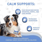 waggedy Calm with Melatonin - Calming Chews for Dogs to Manage Stress & Anxiety Relief — Pet Calming Treats for Travel, Fireworks & Separation — Dog Supplements & Vitamins (60 Chews)
