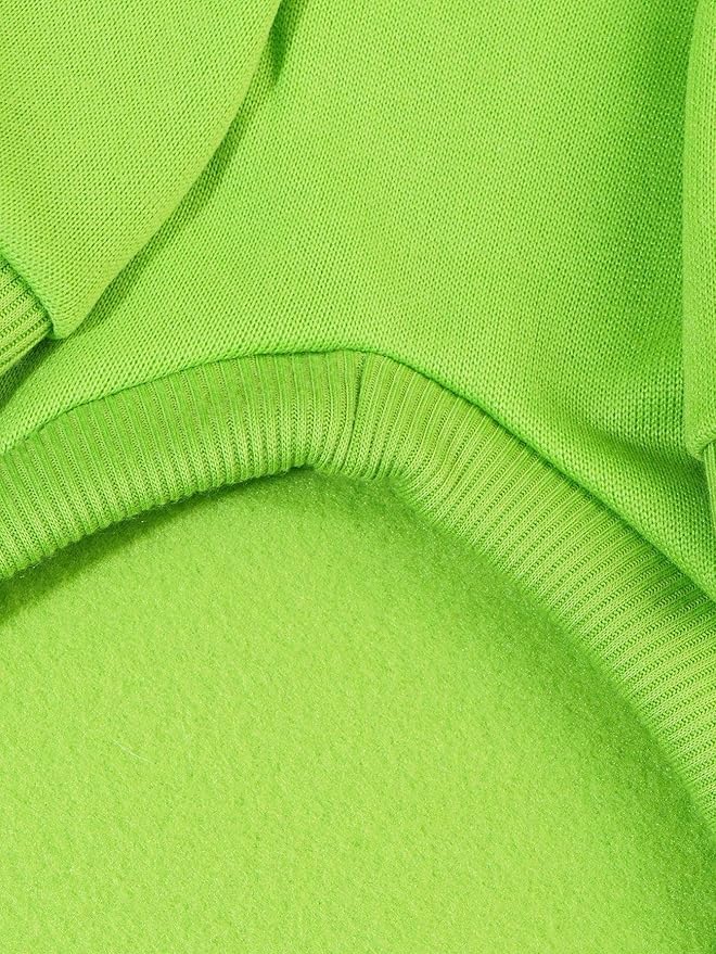 QWINEE Basic Dog Hoodie Sweatshirt Puppy Sweater Warm Cat Costumes Pet Clothes for Chihuahua Puppy Kitten Small Medium Dogs Green X-Small