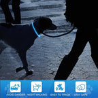 Lighted Dog Collar, Rechargeable 7 Colors Changing Light Up Dog Collar, IP67 Waterproof LED Collar Glow in The Dark, Make Pet Visible and Safety for Night Walking,Outdoor, for All Dogs