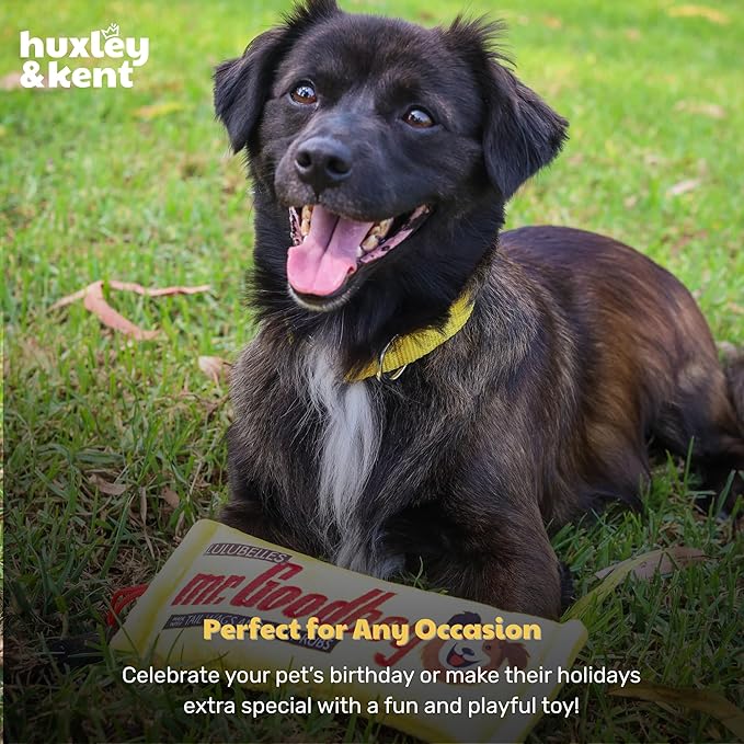 Huxley & Kent Funny Dog Toy w/Squeaker – Power Plush Squeaky Dog Toys for Small, Medium & Large Dogs – Soft Stuffed Animal for Indoor Play & Fetch - Mr Goodboy, Small