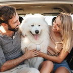 Yinkin 200 Pcs Personalized Military Dog Tags Set Including 100 Pcs Aluminum Blank Dog Tags for Engraving 100 Ball Steel Chain Rectangle Metal Blank Stamping Label for DIY Craft(Multicolor)