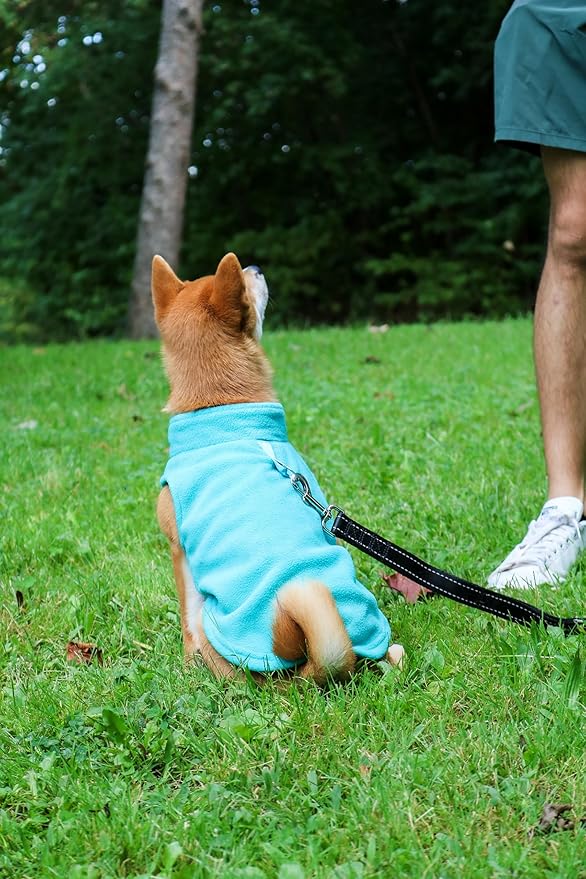 JACKO & CO - Fleece Vest Sweater with Leash Ring - Soft Lightweight Breathable for Puppies Small Medium Dogs, Kitten, Cats, Chihuahua - Warm for Fall/Autumn/Winter (Turquoise, Small 4-6lbs)