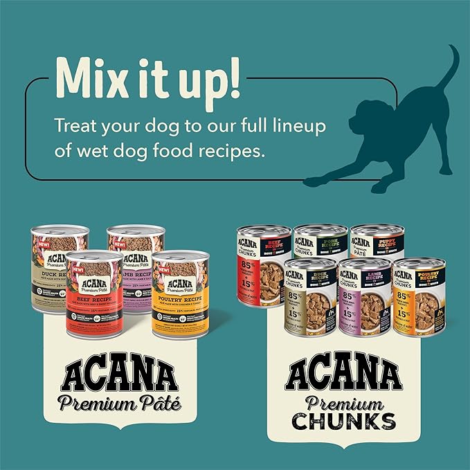 ACANA Premium Chunks in Bone Broth Grain-free Wet Dog Food Lamb Recipe 12.8oz Cans (12 Count)
