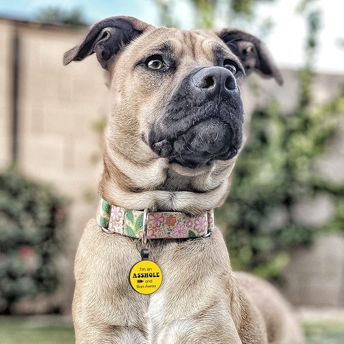 MYLUCKYTAG QR Code Silicone Pet ID Tag for Dogs and Cats, Online Profile, Location Alert Email, Digital Tag, Quiet and Durable Collar Tag, Engraved