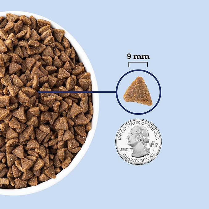 ACANA Indoor Entrée Fish Recipe Dry Cat Food 4lb Bag