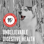 BIXBI Rawbble Freeze Dried Dog Food, Beef Recipe, 26 oz - 98% Meat and Organs, No Fillers - Pantry-Friendly Raw Dog Food for Meal, Treat or Food Topper - USA Made in Small Batches