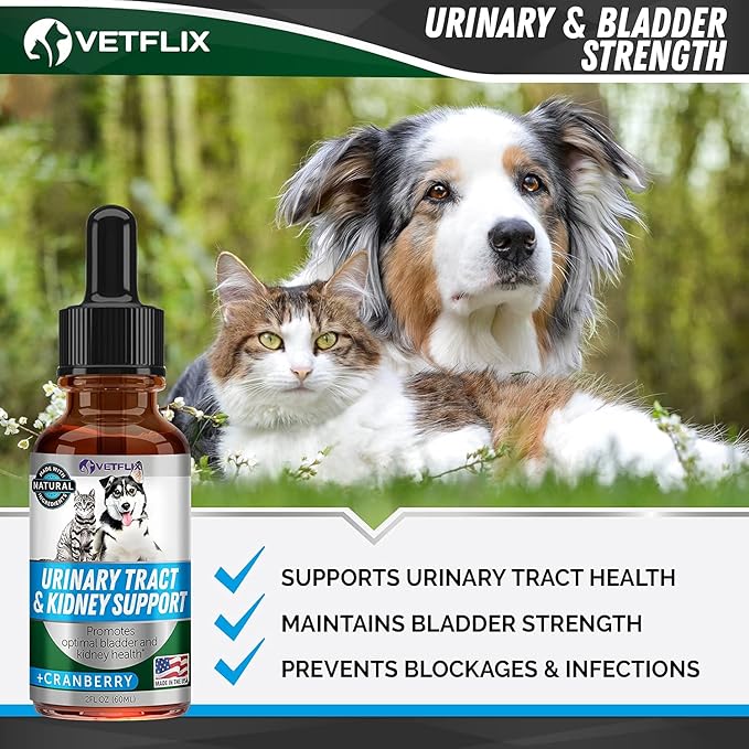 Cranberry UTI & Kidney Support for Dogs & Cats - Made in USA - Natural Urinary Tract Health Supplement - Supports Immune & Bladder Function - 2 Fl Oz