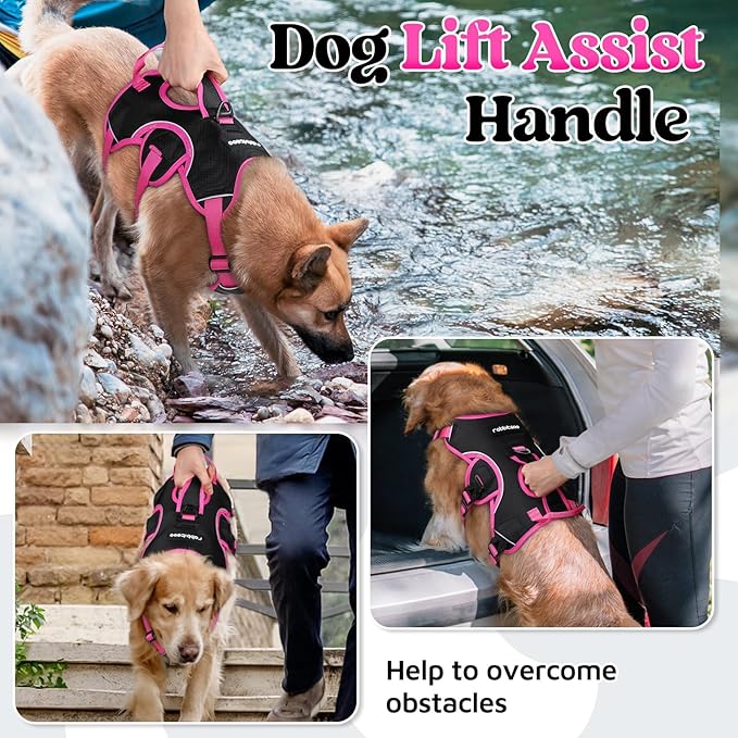 rabbitgoo Escape Proof Dog Harness Large Dogs, Soft Padded Full Body Pet Harness, Reflective Adjustable No Pull Vest with Lift Handle and Leash Clip for Walking Hiking Training, Pink & Black, XL