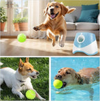 Dog Ball Thrower Launcher,Automatic Ball Launcher for Dogs with 12 Tennis Balls,Thrower Distance 10-30ft,interacive Dog Toys for Dogs Indoor/Outdoor for Small Dogs(Blue)