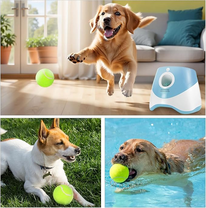 Dog Ball Thrower Launcher,Automatic Ball Launcher for Dogs with 12 Tennis Balls,Thrower Distance 10-30ft,interacive Dog Toys for Dogs Indoor/Outdoor for Small Dogs(Blue)