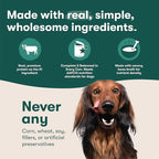 Jinx Premium Wet Dog Food Cans - Chicken & Vegetables Pate - Grain-Free Canned Dog Food Pate & Topper with Real Ingredients & No Fillers - All Life Stages, Breeds & Sizes - 12-Pack, 13 Oz