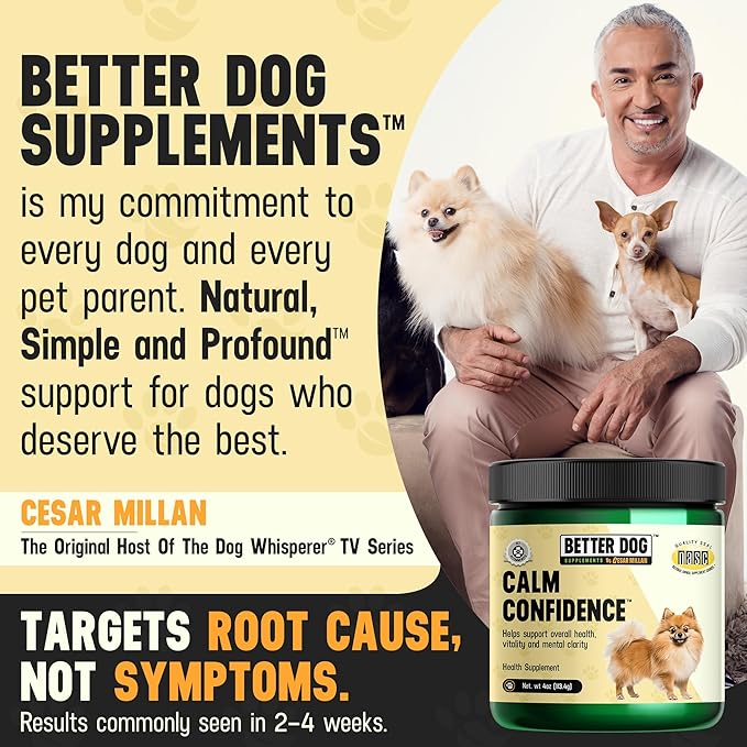 Better Dog Supplements Calm Confidence by Cesar Millan – Natural Cognitive & Brain Support for Dogs – Focus, Energy & Vitality with Ashwagandha, Panax Ginseng & Herbs – 4oz, (60-Day Supply)