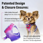 American River Choke-Free Dog Harness - Raspberry Sundae Ombre