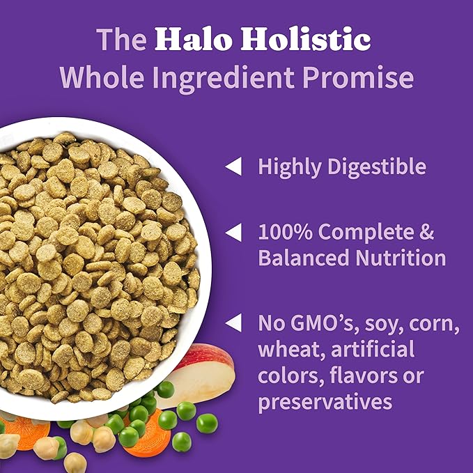 Halo Holistic Vegan Dog Food, Plant-Based Recipe with Kelp, Dry Dog Food, Complete Digestive Health, Kibble for Adult Dogs, 10 lb Bag