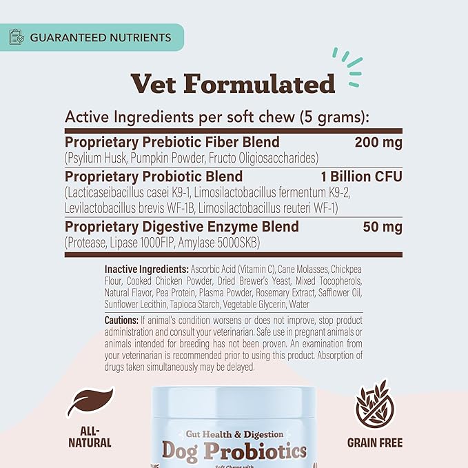 Natural Dog Company Gut Health & Canine Specific Probiotics Chews, 1 Daily Chew for All Dogs, Prebiotics & Digestive Enzymes for Digestion, Gas, Loose Stool, Immune System & Bowel Support, 45 Ct